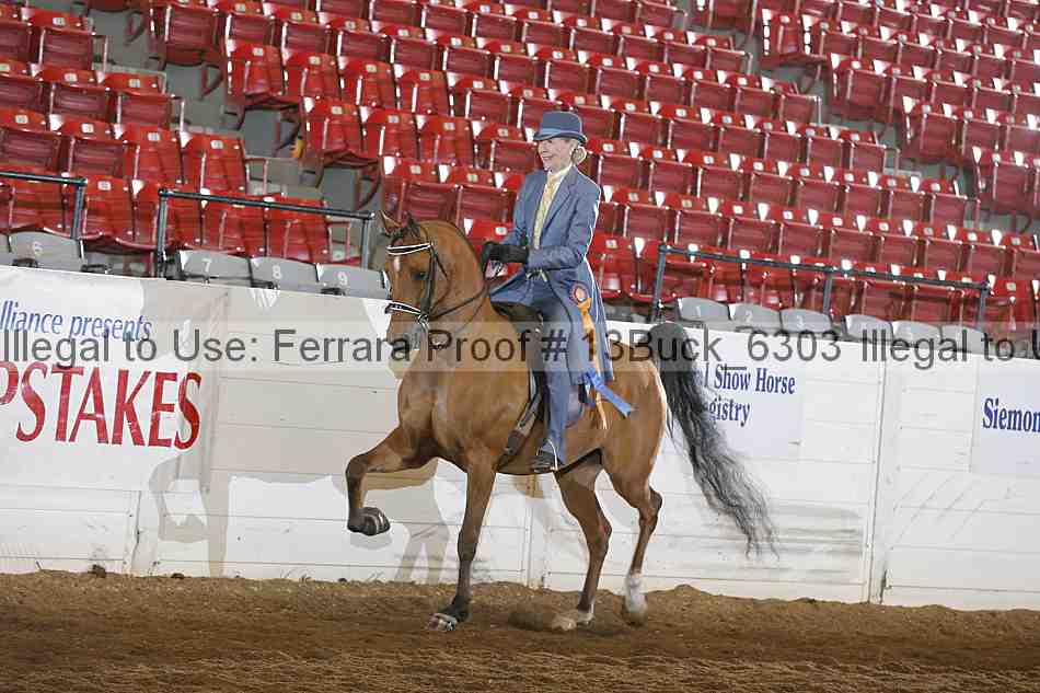 Proof Number 13buck_6303