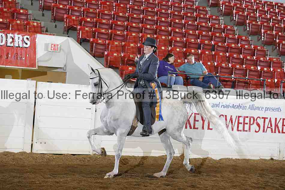 Proof Number 13buck_6307