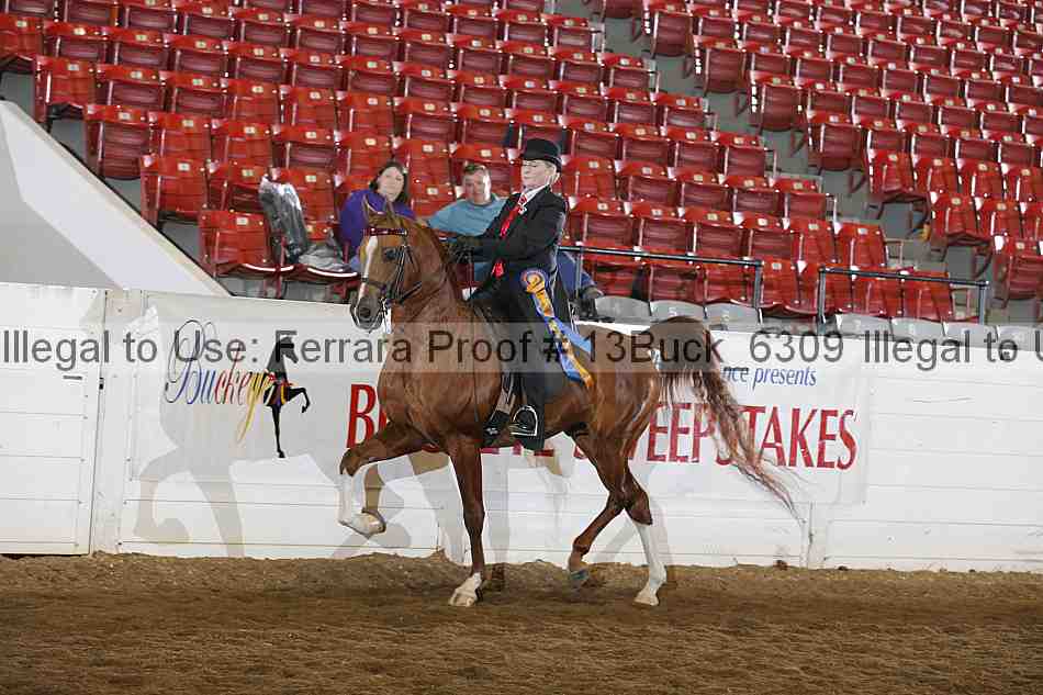 Proof Number 13buck_6309
