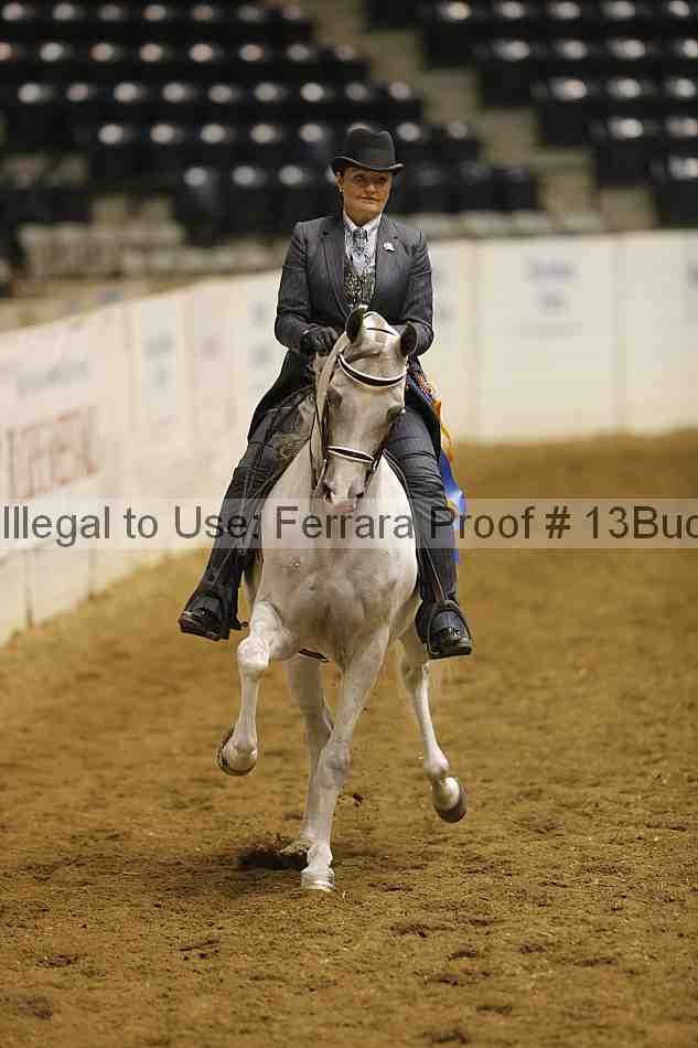 Proof Number 13buck_6310