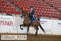 13buck_6314 thumbnail