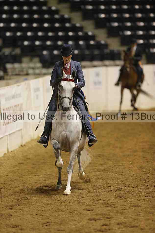 Proof Number 13buck_6316