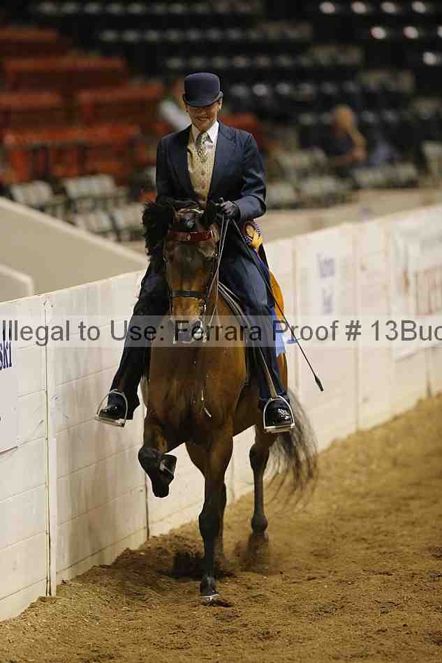 Proof Number 13buck_6317