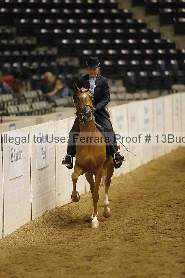 Proof Number 13buck_6321