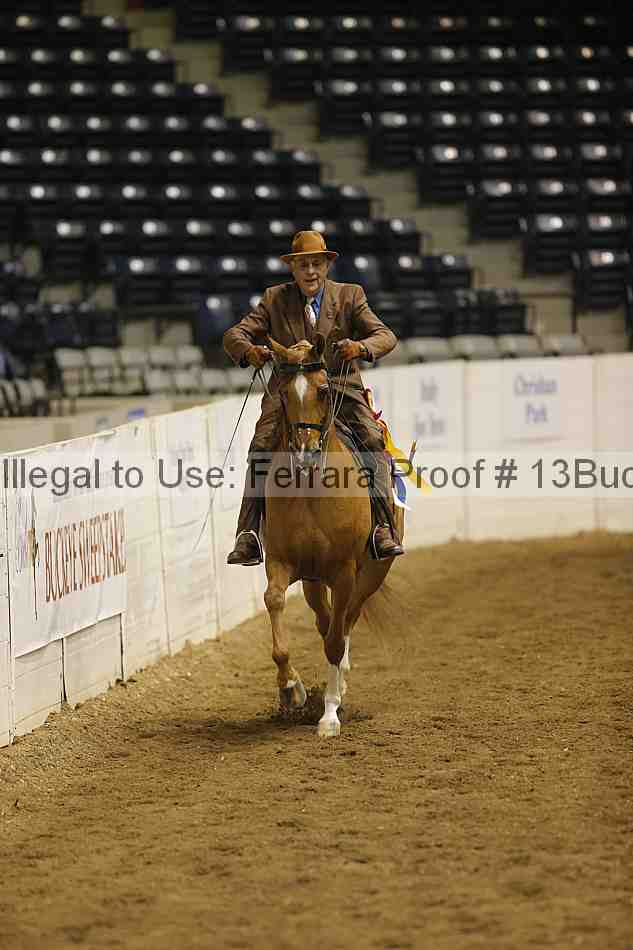 Proof Number 13buck_6324