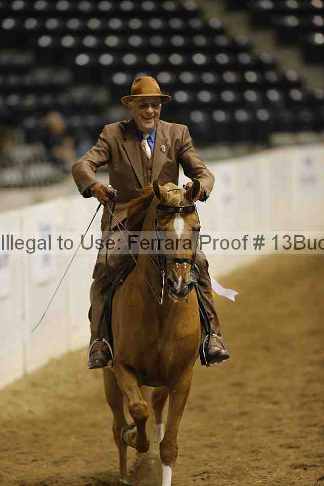 Proof Number 13buck_6329