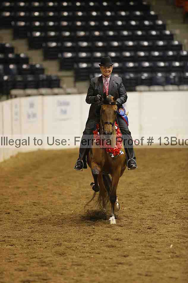 Proof Number 13buck_6331
