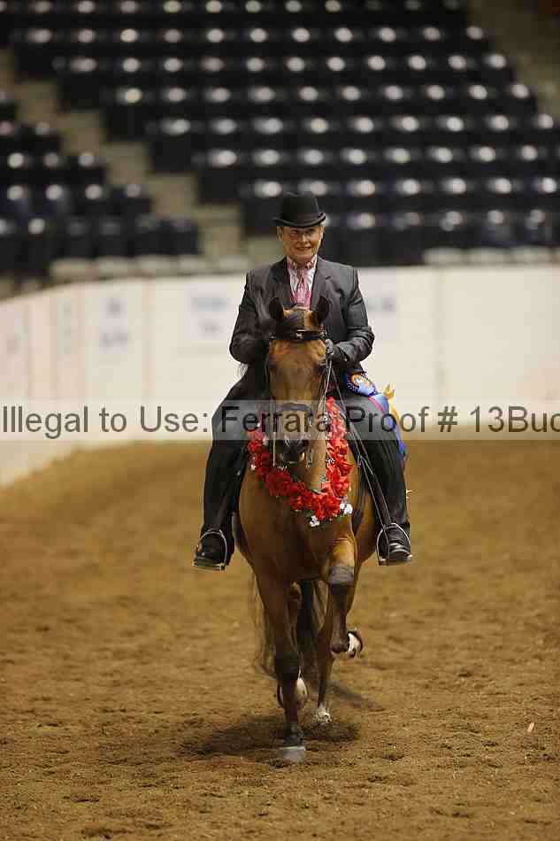 Proof Number 13buck_6332