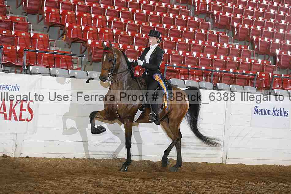 Proof Number 13buck_6388