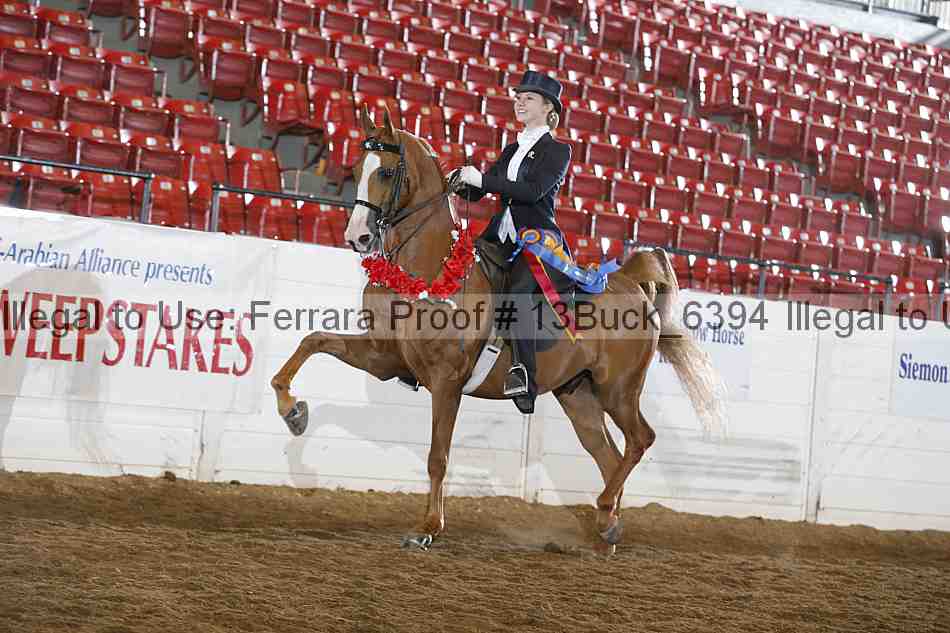 Proof Number 13buck_6394