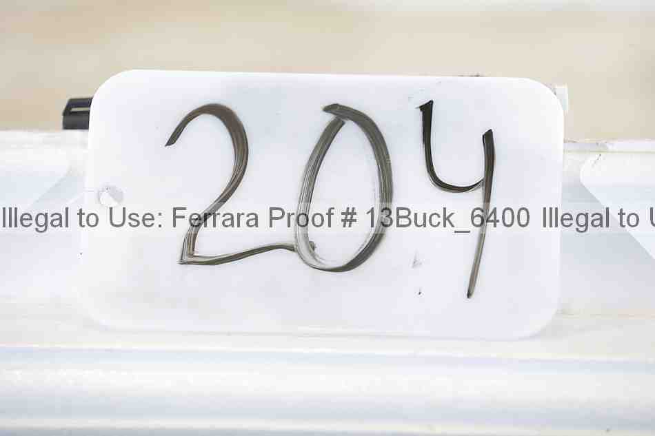 Proof Number 13buck_6400