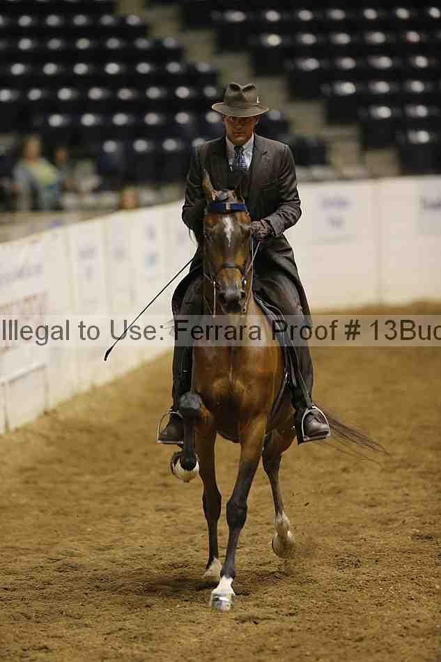 Proof Number 13buck_6403