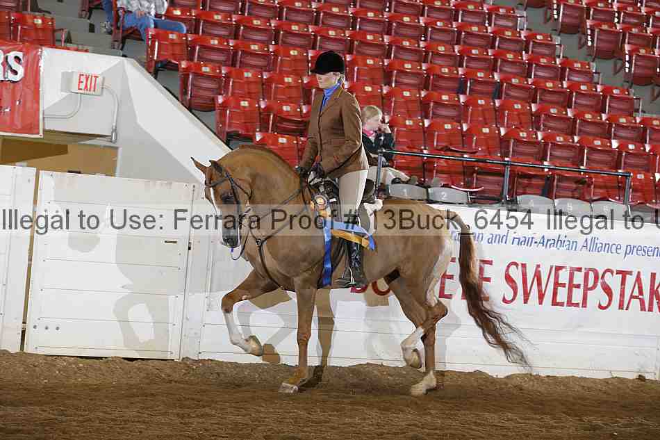 Proof Number 13buck_6454