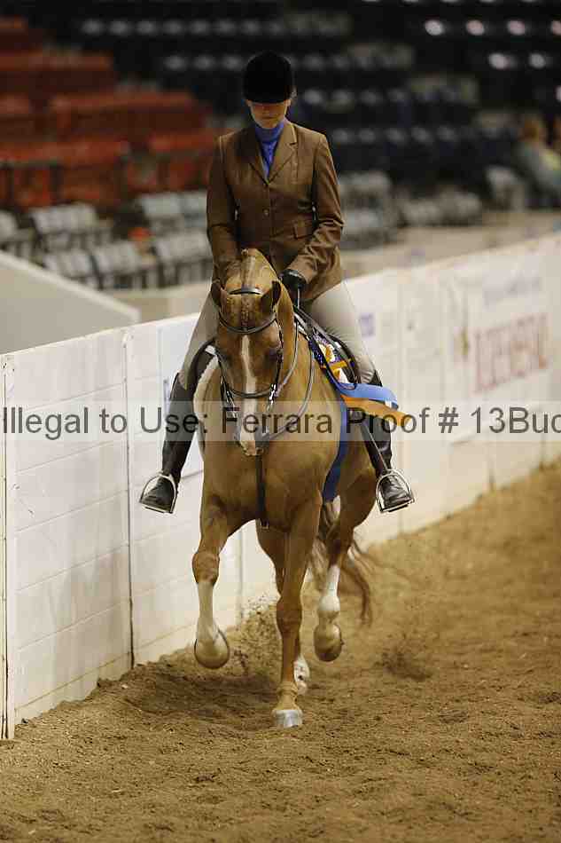 Proof Number 13buck_6459