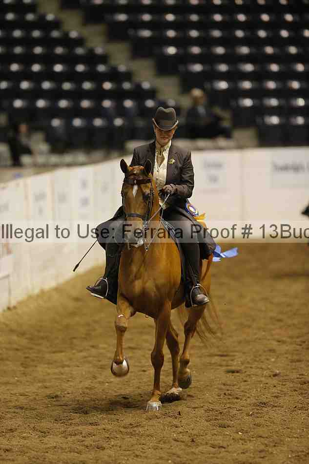 Proof Number 13buck_6509