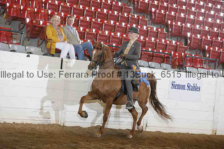 Proof Number 13buck_6515