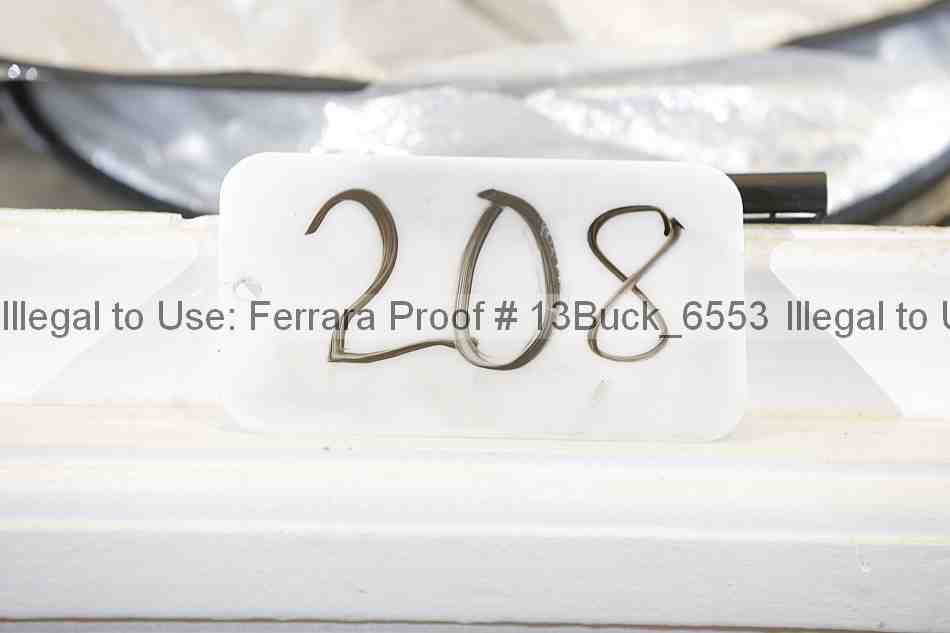 Proof Number 13buck_6553