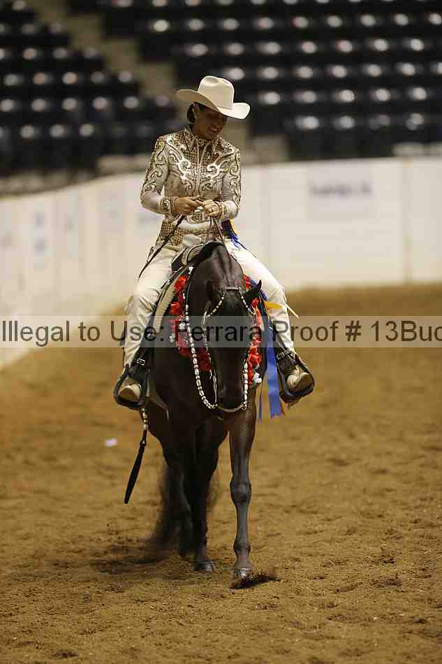 Proof Number 13buck_6576