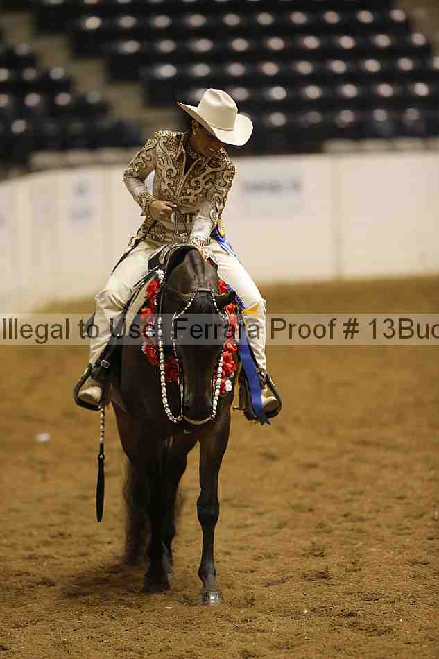 Proof Number 13buck_6579