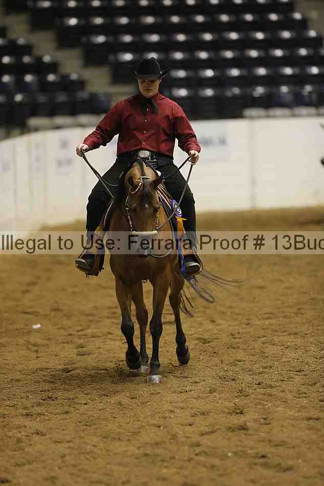 Proof Number 13buck_6582