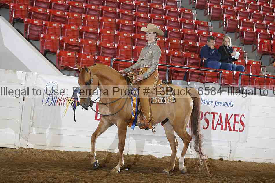 Proof Number 13buck_6584