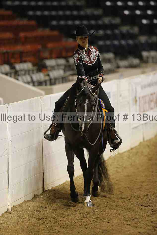 Proof Number 13buck_6602