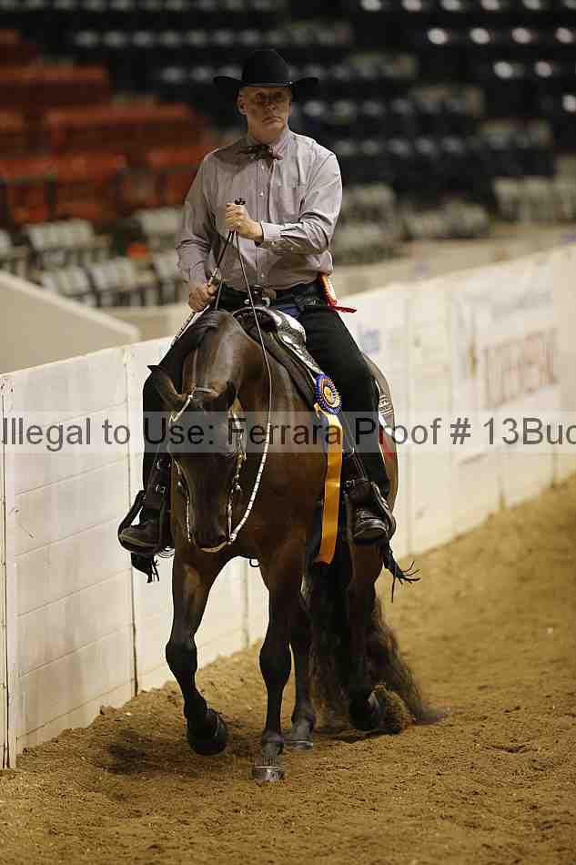 Proof Number 13buck_6608