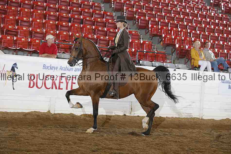 Proof Number 13buck_6635