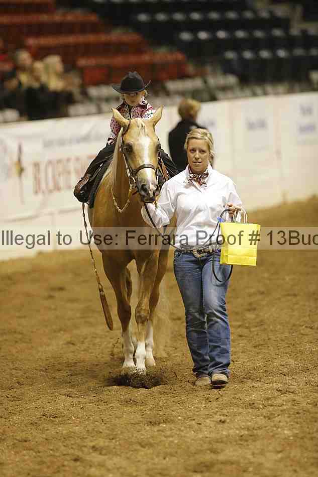 Proof Number 13buck_3484