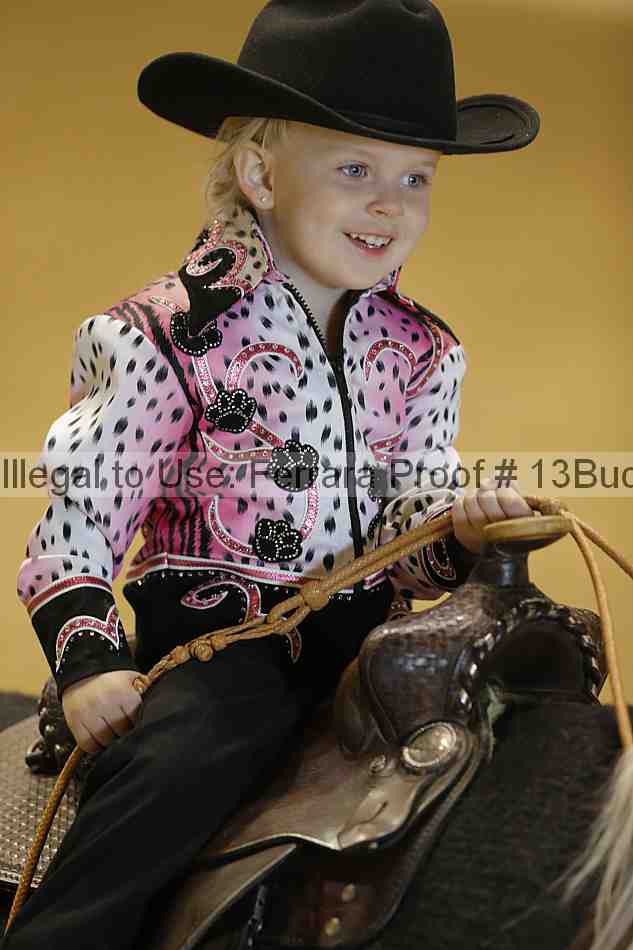 Proof Number 13buck_3489
