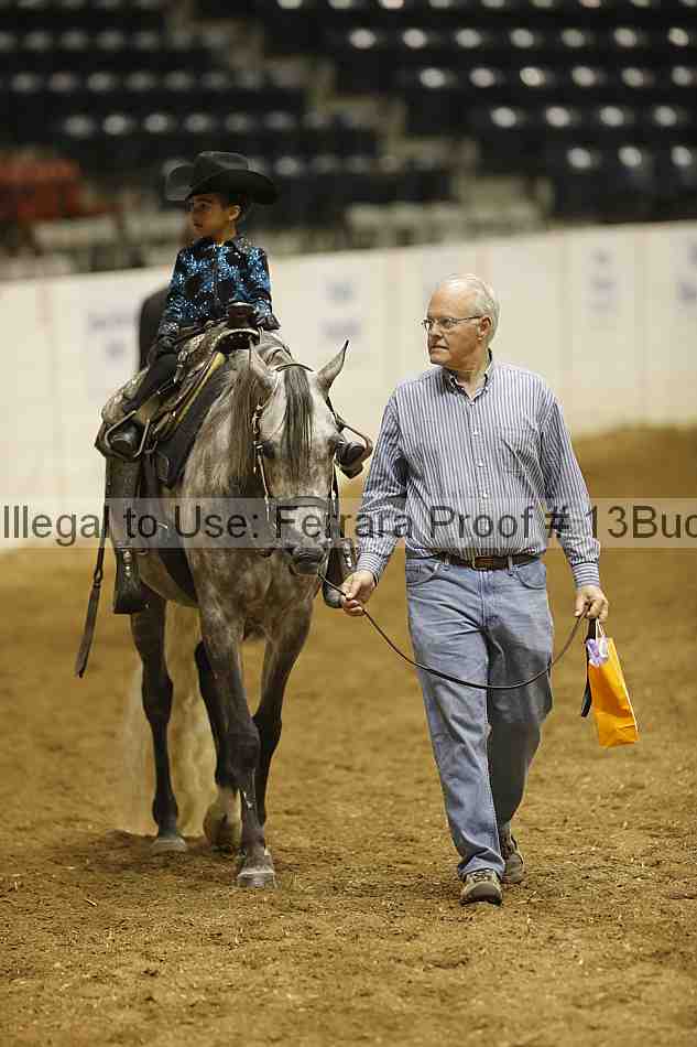 Proof Number 13buck_3493