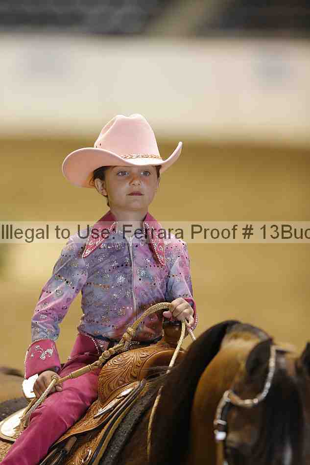 Proof Number 13buck_3517