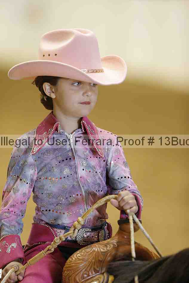Proof Number 13buck_3518