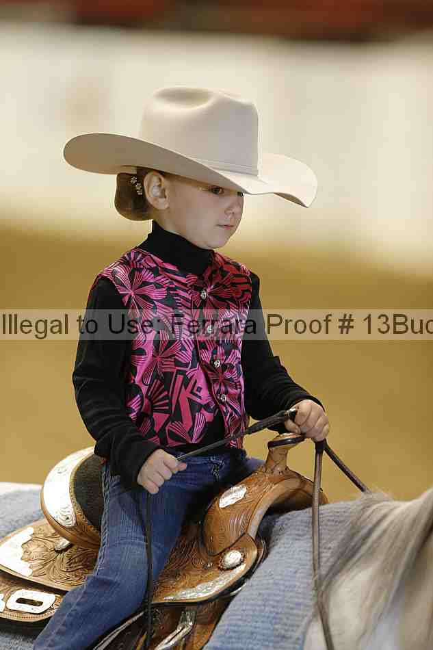 Proof Number 13buck_3529