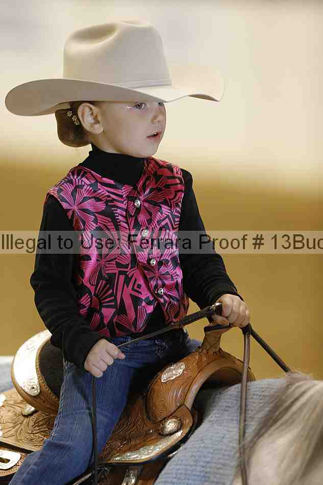 Proof Number 13buck_3530