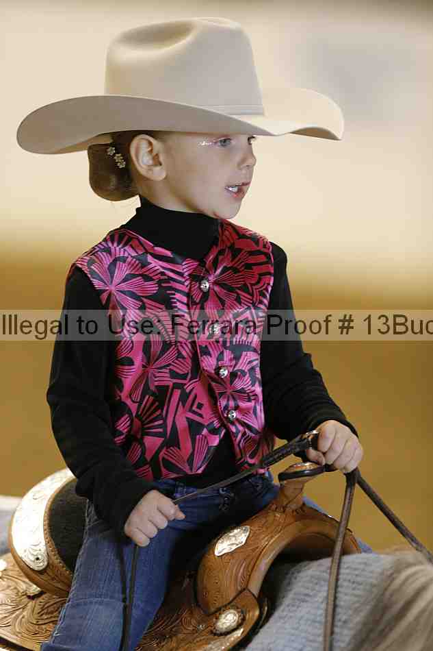 Proof Number 13buck_3531