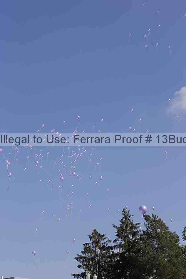 Proof Number 13buck_2645