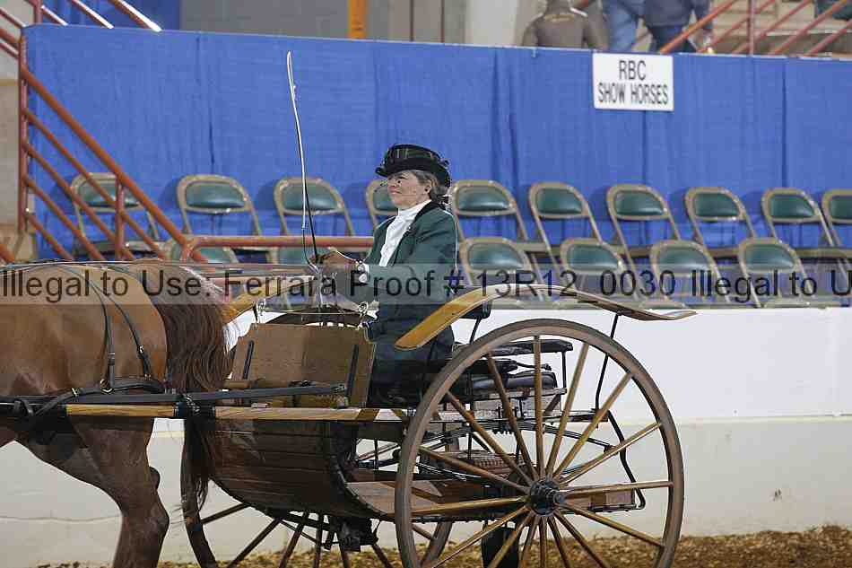 Proof Number 13r12_0030