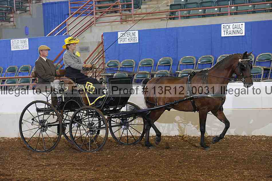 Proof Number 13r12_0031