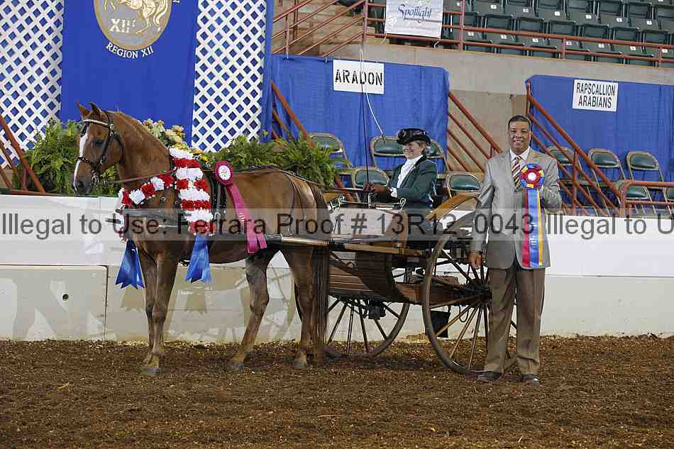 Proof Number 13r12_0043