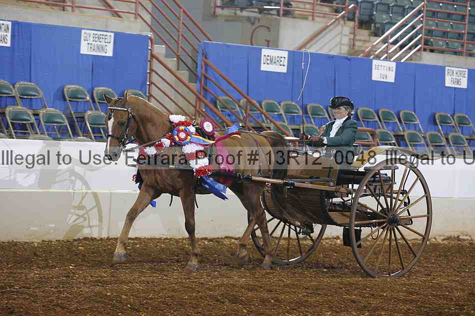 Proof Number 13r12_0048