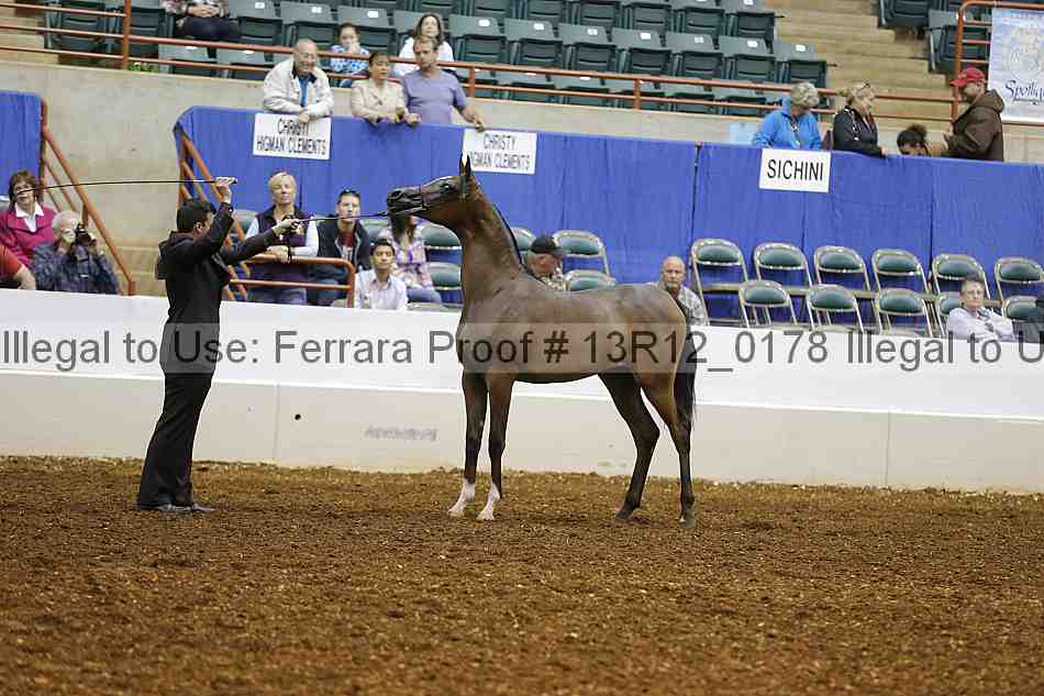 Proof Number 13r12_0178