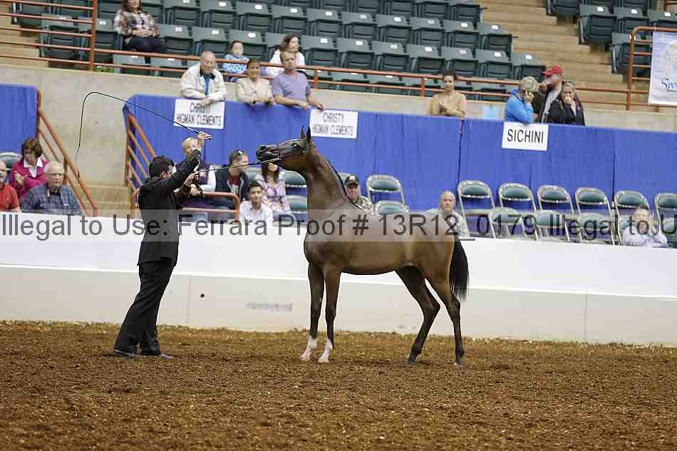 Proof Number 13r12_0179