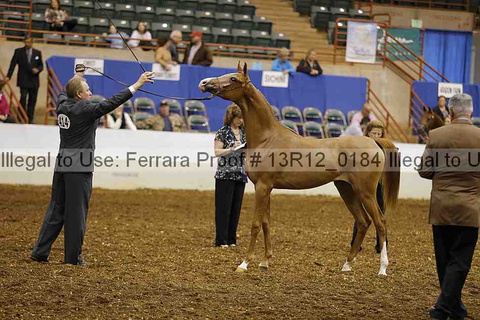 Proof Number 13r12_0184