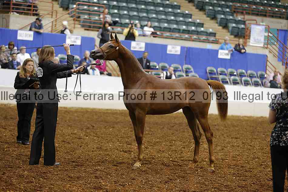 Proof Number 13r12_0193