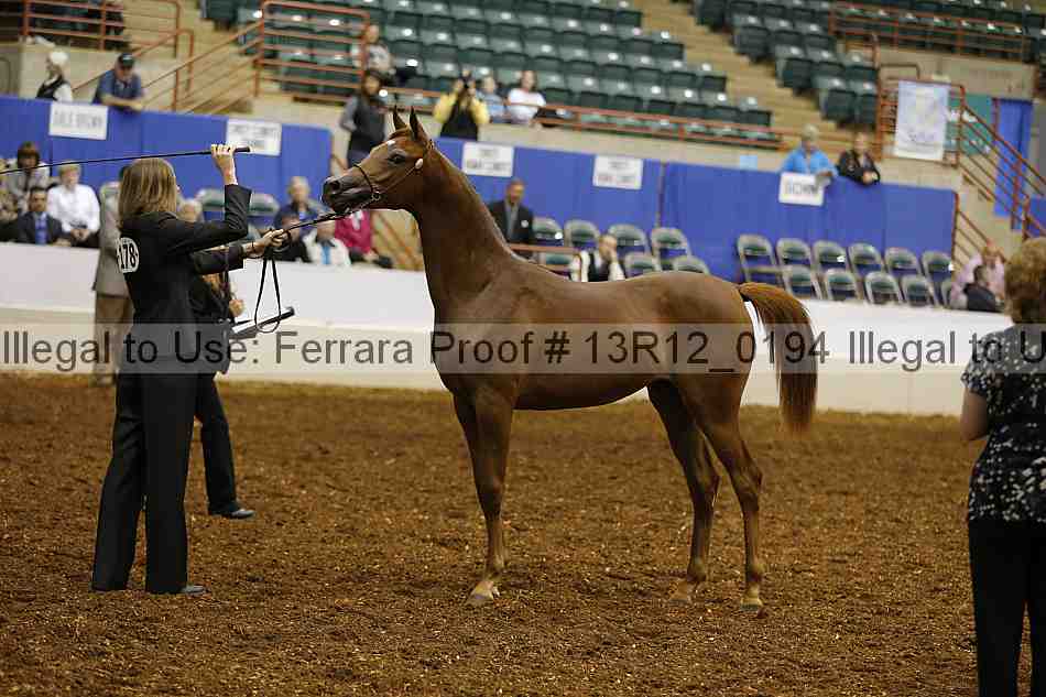 Proof Number 13r12_0194