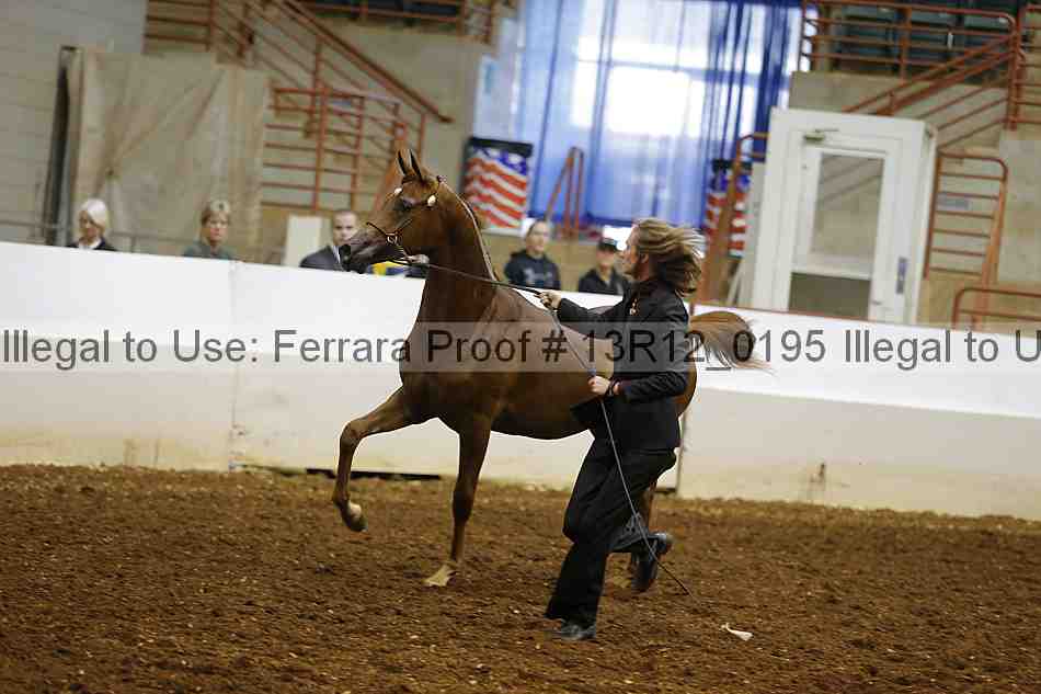 Proof Number 13r12_0195
