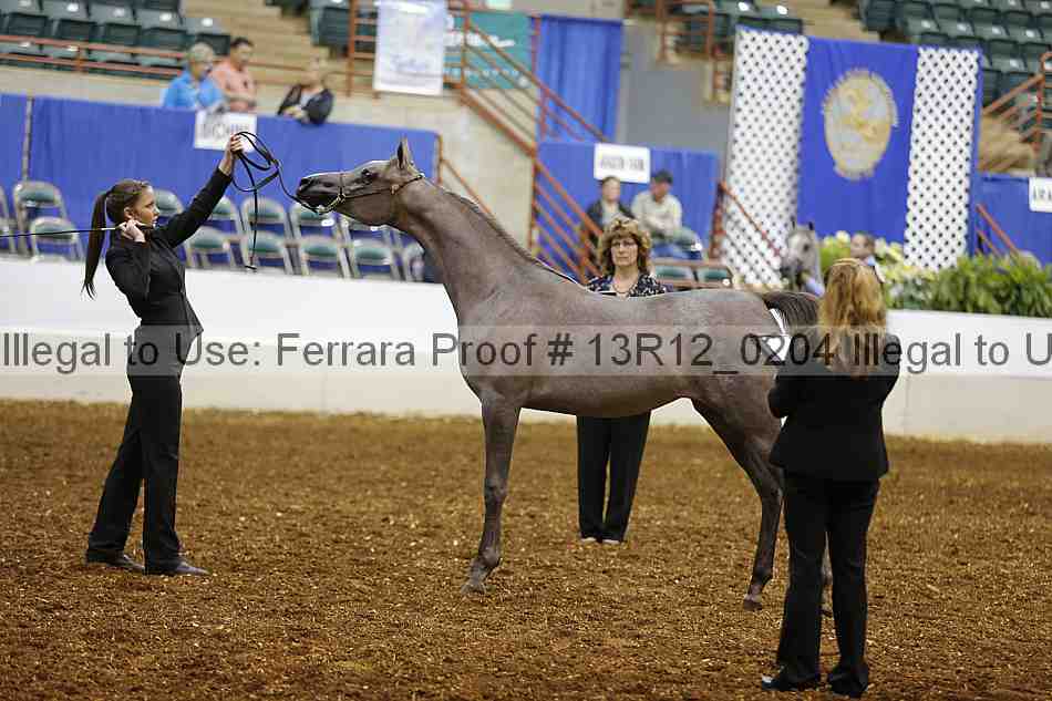Proof Number 13r12_0204