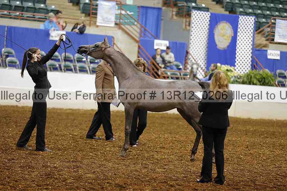 Proof Number 13r12_0206