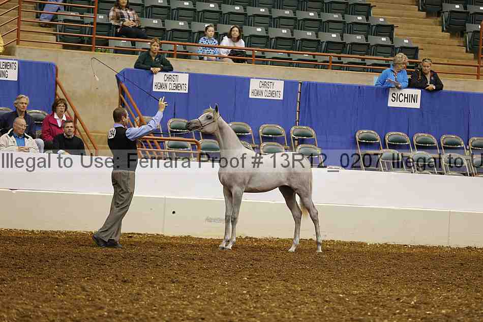 Proof Number 13r12_0207